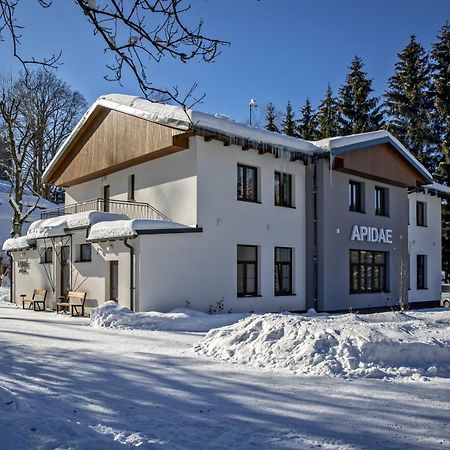 Penzion Apidae Hotel Destne v Orlickych horach Buitenkant foto