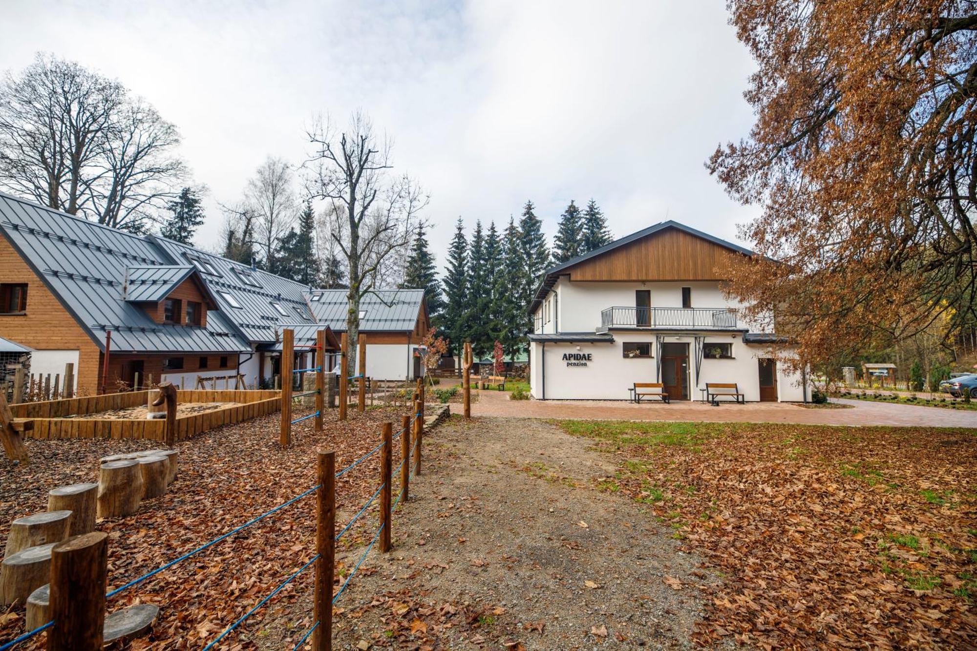 Penzion Apidae Hotel Destne v Orlickych horach Buitenkant foto