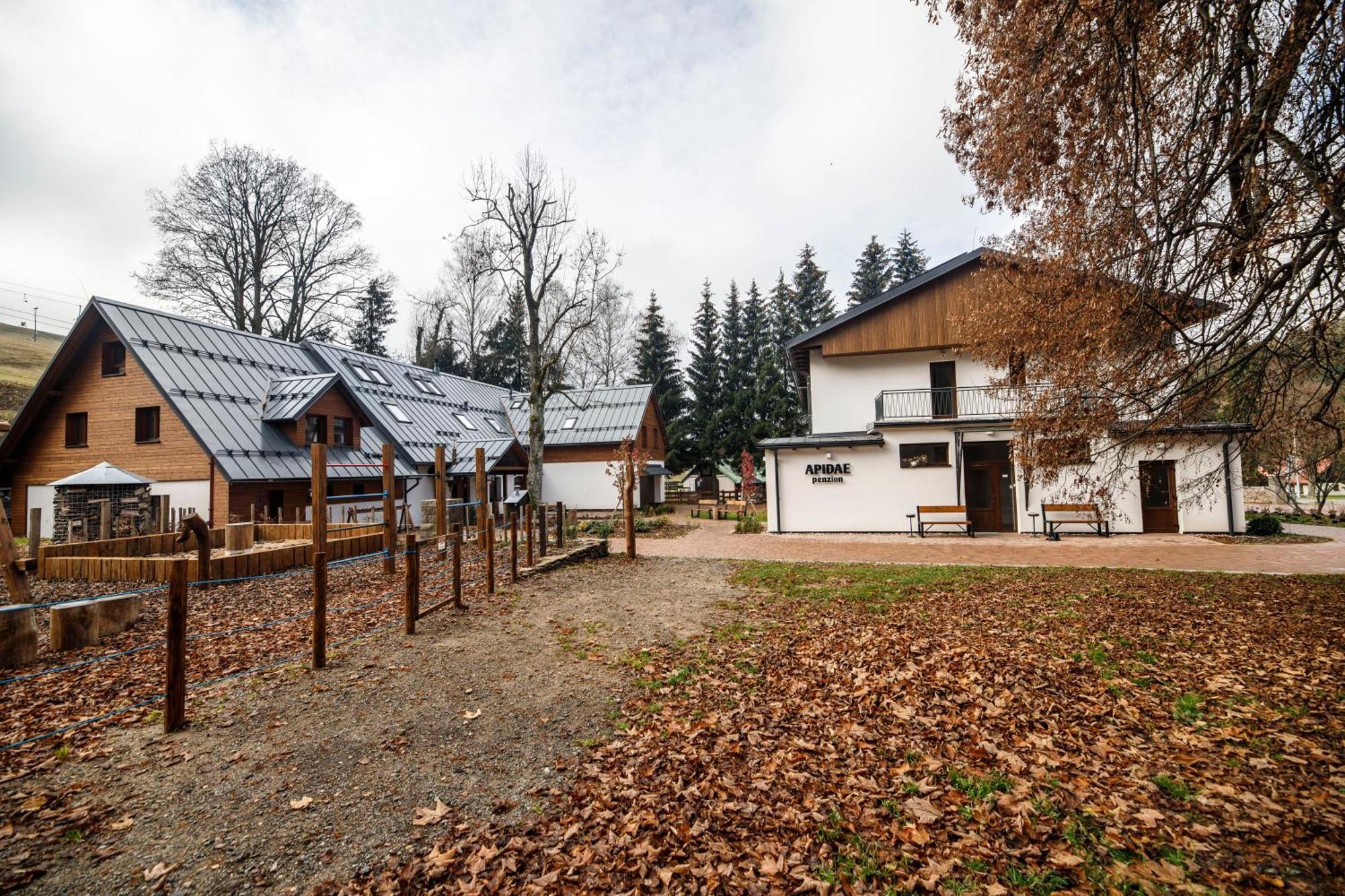 Penzion Apidae Hotel Destne v Orlickych horach Buitenkant foto