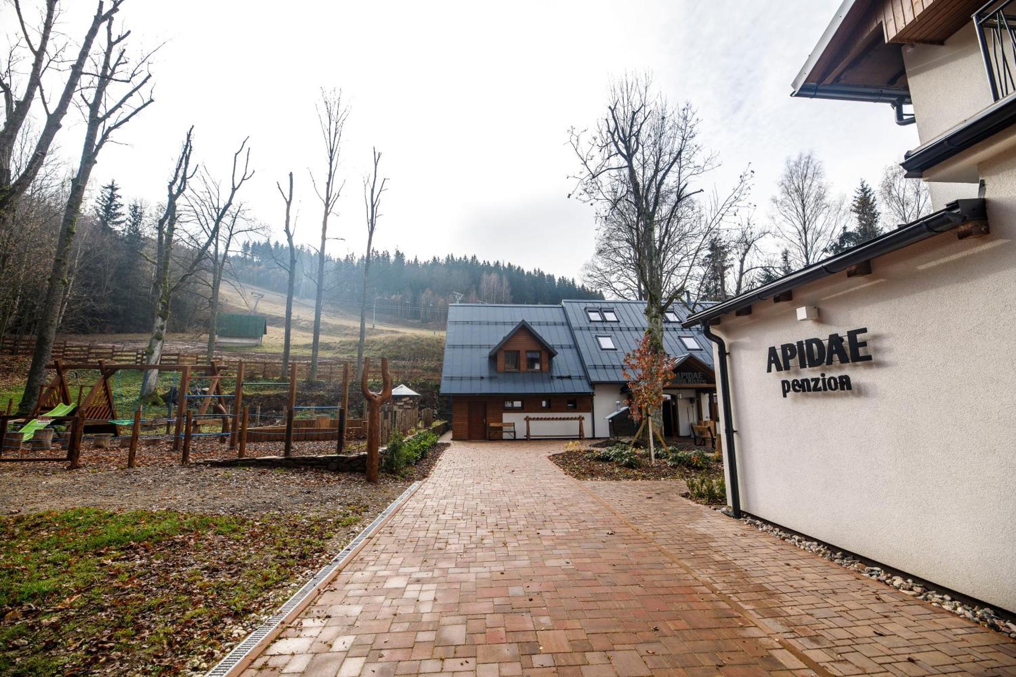 Penzion Apidae Hotel Destne v Orlickych horach Buitenkant foto