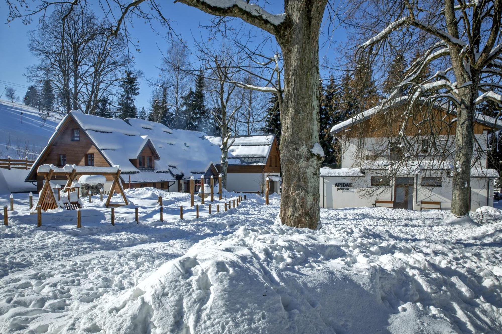 Penzion Apidae Hotel Destne v Orlickych horach Buitenkant foto