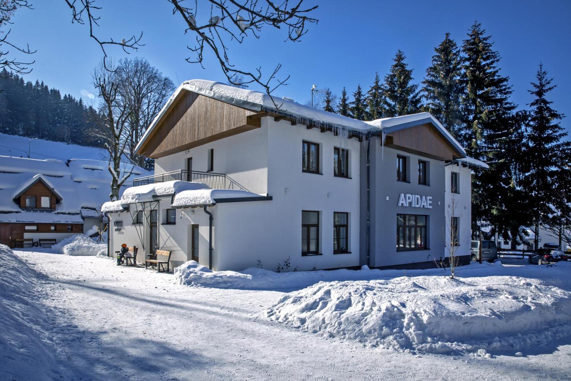 Penzion Apidae Hotel Destne v Orlickych horach Buitenkant foto