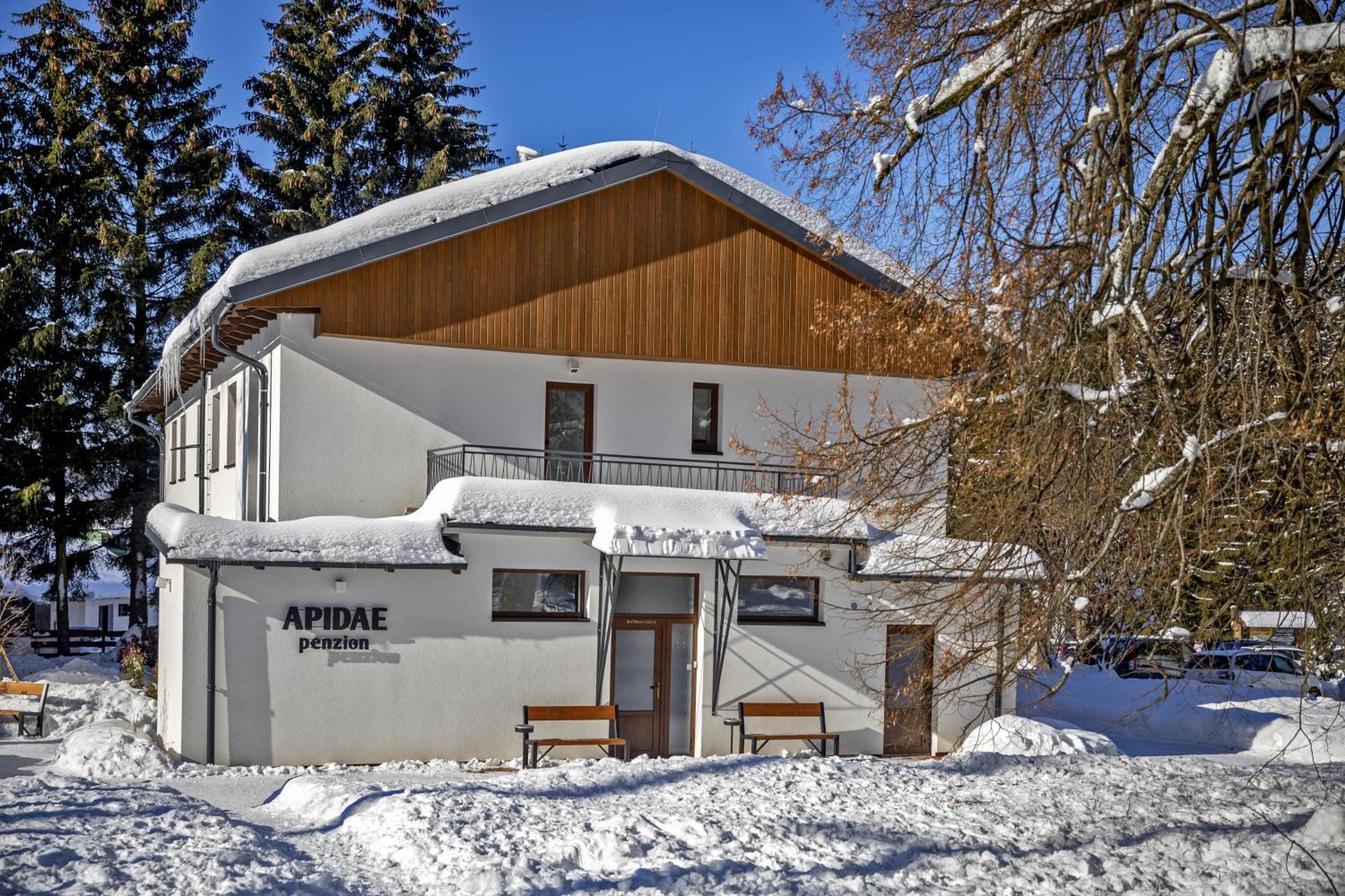 Penzion Apidae Hotel Destne v Orlickych horach Buitenkant foto