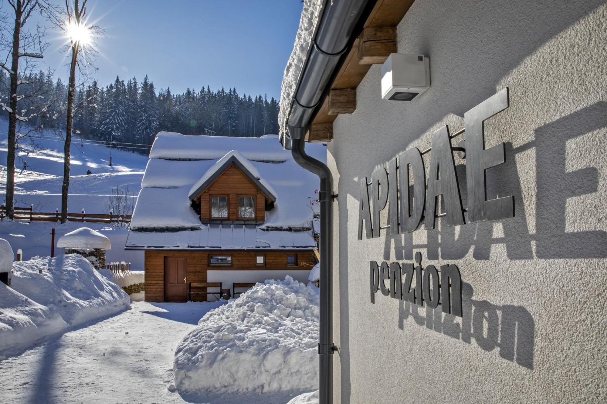 Penzion Apidae Hotel Destne v Orlickych horach Buitenkant foto