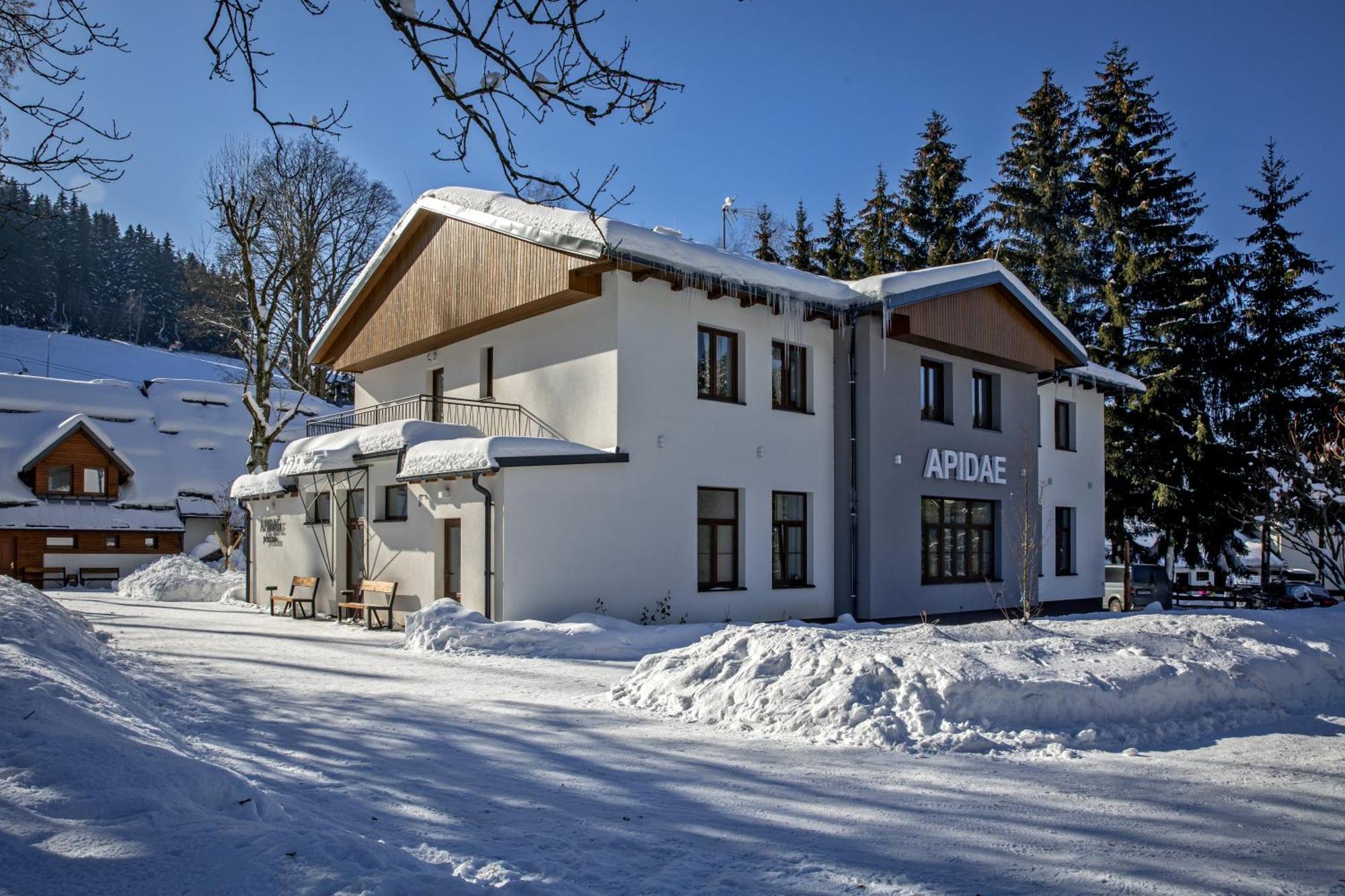 Penzion Apidae Hotel Destne v Orlickych horach Buitenkant foto